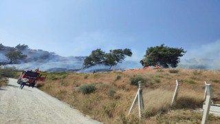 Bahçe yangını büyümeden söndürüldü