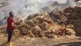 Bahçesini temizlemek isteyen çiftçi bir yıllık emeğini yaktı: 3 bin saman balyası küle döndü