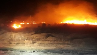 Bandırmada park halindeki araçta çıkan yangın ormanlık alana sıçradı