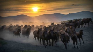 Başkan Büyükkılıçtan Cumhurbaşkanı Erdoğana teşekkür, doğa tutkunlarına davet