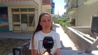 Başkentte kediye işkence iddiası