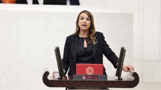 Bereketli Hilal'in Geleceği İçin Acil Düzenlemeler Bekleniyor
