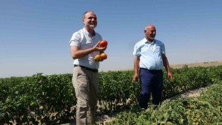 Besi çiftliği değil üniversite