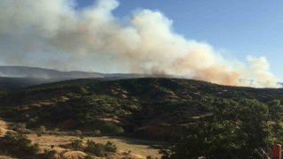 Bingölde çıkan orman yangını kontrol altına alındı