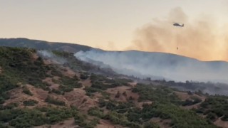 Bingölde orman yangınına müdahale sürüyor