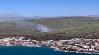 Bodrum Güvercinlikte orman yangını