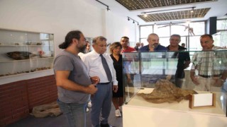 Bölgenin ilk deniz canlıları müzesi Mersinde açılıyor