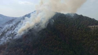 Boluda aynı ilçede 2 farklı orman yangını