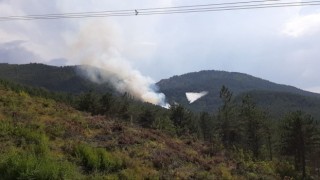 Boluda orman yangını başladı