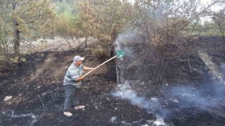 Boluda orman yangını köylülerin de desteğiyle söndürüldü