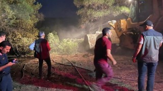 Boludaki orman yangını kontrol altına alındı