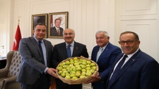 Borsa, sezonun ilk incirini İzmir Valisi Köşgere takdim etti