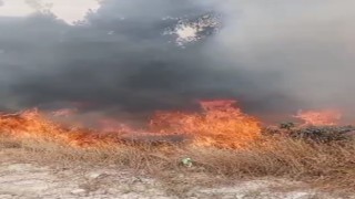 Buldanda çıkan yangın, ormana sıçramadan söndürüldü