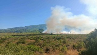 Burdurda orman yangını havadan ve karadan müdahale ile kontrol altına alındı.