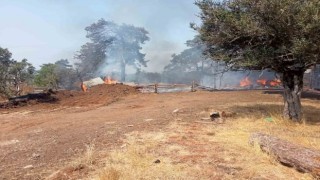 Bursada ağıl yangını