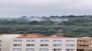 Bursada makilik alanda çıkan yangın söndürüldü