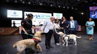 Büyükçekmece Belediyesi tarafından 31 kişinin hayatını kurtaran köpeklere madalya verildi