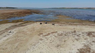 Büyükçekmece Gölünde sular çekilince alan ATV Motorcularına kaldı