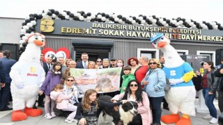 Büyükşehir, sokak hayvanları için var gücüyle çalışıyor