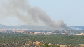 Çanakkalede bu sefer tarihi yarımada yanıyor