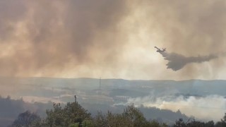 Çanakkale'de Orman Yangını: 500 Hektar Ormanlık Alan Zarar Gördü