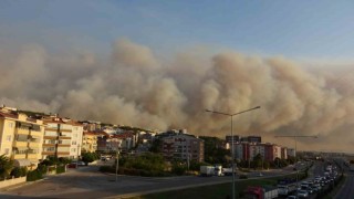 Çanakkalede orman yangını nedeniyle şehir merkezi adeta dumanla kaplandı