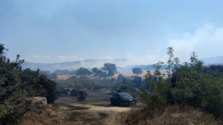 Çanakkalede tarım arazilerinin bulunduğu bölgede yangın