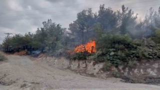 Çanakkaledeki orman yangını kontrol altına alındı
