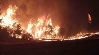 Çanakkaledeki orman yangınını söndürme çalışmaları aralıksız devam ediyor