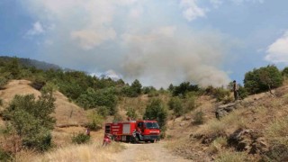 Çankırıdaki orman yangını kontrol altına alındı