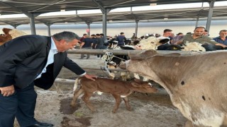CHP’li Gürer, et fiyatlarının düşmesinin formülünü açıkladı