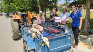Coğrafi işaret alan Pazarlar kirazı denetlendi