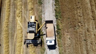 Çorum Belediyesi ihtiyaç sahiplerine 15 ton un dağıtacak