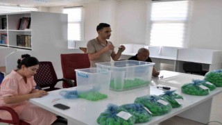 Kreşe rekor başvuru olunca noter huzurunda kura çekildi