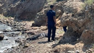 Datçada sahilde ceset bulundu
