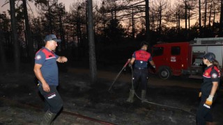 Denizlide orman yangınında 20 hektar alan kül oldu