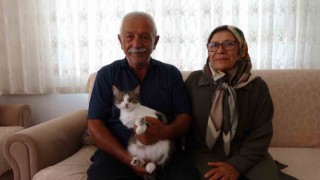 Depremde kaybettikleri kedilerini geri dönüp 5 ay sonra buldular