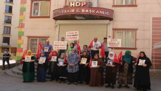 Diyarbakır annelerinden 5inci yıl çağrısı: 3 Eylül Pazar günü tüm Türkiyeyi buraya çağırıyoruz, hep beraber teröre dur diyelim