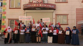 Diyarbakır annelerinin 5inci yıl çağrısı devam ediyor