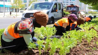 Diyarbakırda 1 milyon 520 bin çiçek toprakla buluştu