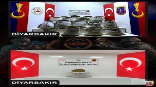 Diyarbakırda 2 milyon 425 bin kök kenevir ve skunk bitkisi ele geçirildi