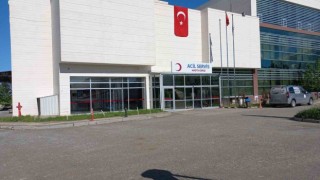 Diyarbakırda akrebin soktuğu bebek yoğun bakıma alındı