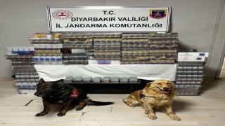 Diyarbakırda yolcu otobüsünde 8 bin 549 paket kaçak sigara ele geçirildi