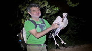 Doğa yürüyüşçüleri karşılaştıkları yaralı leyleği tedavi için ekiplere teslim etti