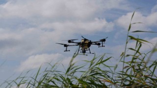 Drone ile sinek avı