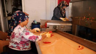 Ekmek paralarını acıdan çıkarıyorlar