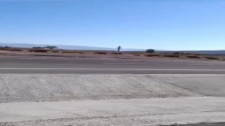 Elazığda domuz sürüsü görüntülendi