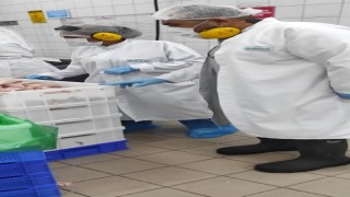 Elazığda kanatlı kesimhanelerine denetim