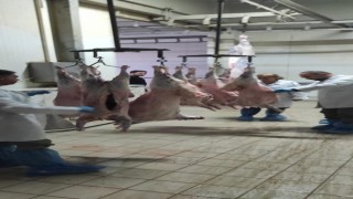 Elazığda kesimhaneler denetlendi