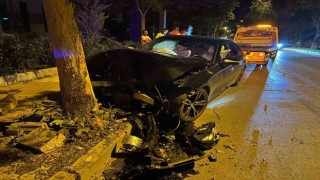Elazığda otomobil ağaca çarptı: 1 yaralı